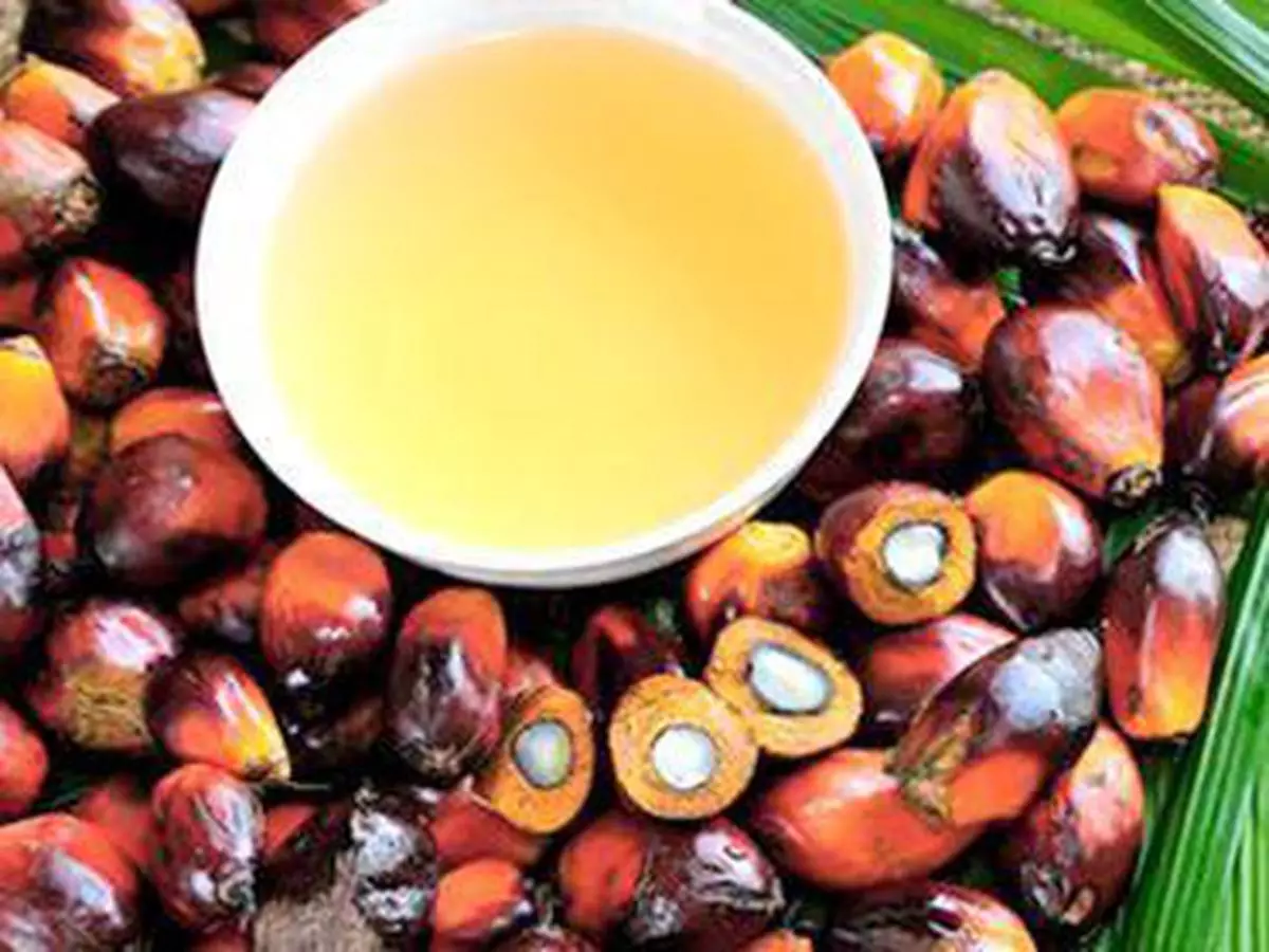 Palm oil constitutes 37 per cent of edible oil demand and over 60 per cent in the import basket of edible oils