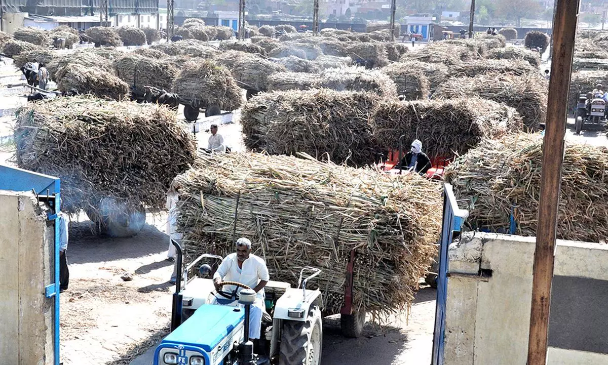 Maharashtra co-operative sugar mills scam: Auctioning continues to ...