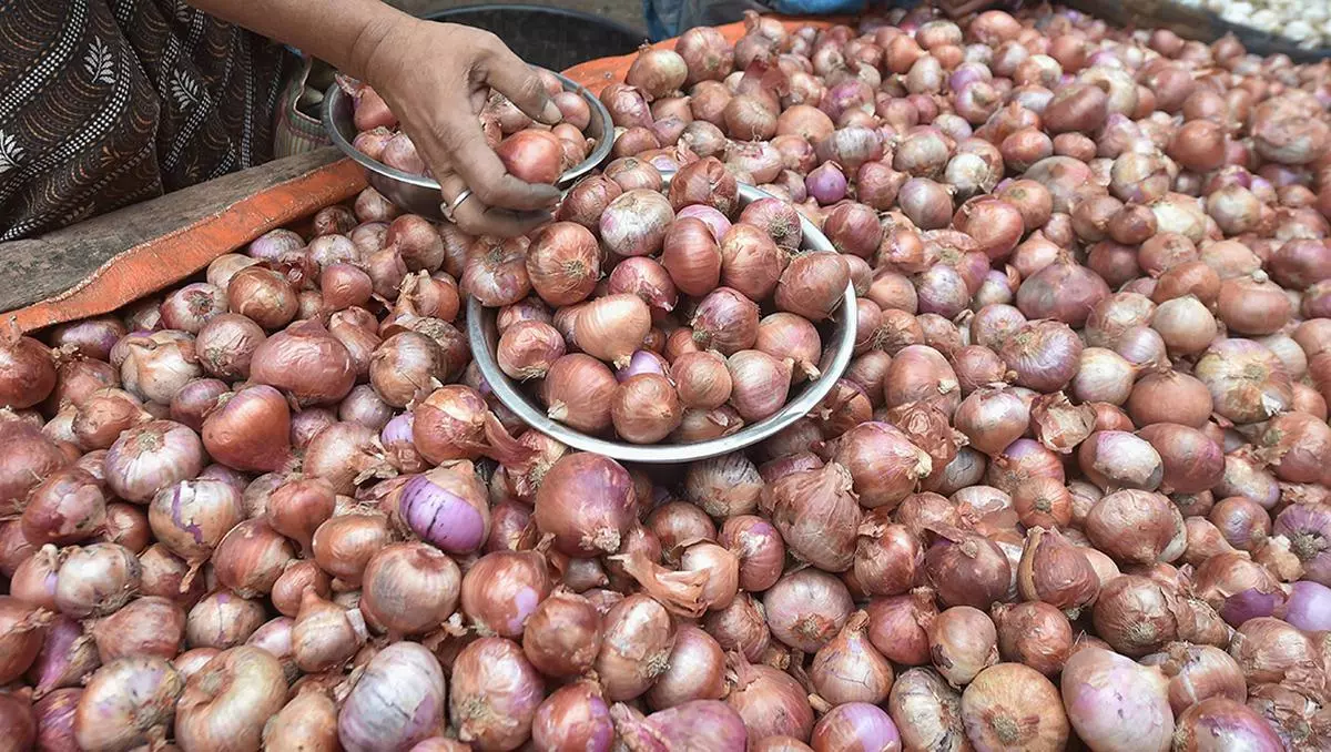 Onion production is estimated to rise to 31.70 mt from 26.64 mt in 2020-21