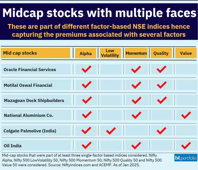 Midcap stocks that part of various factor-based indices