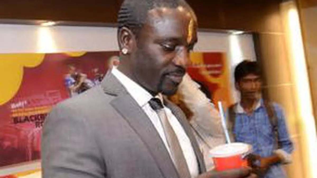 Akon Porn - Akon, Akoin and a Wakanda in Senegal - The Hindu BusinessLine
