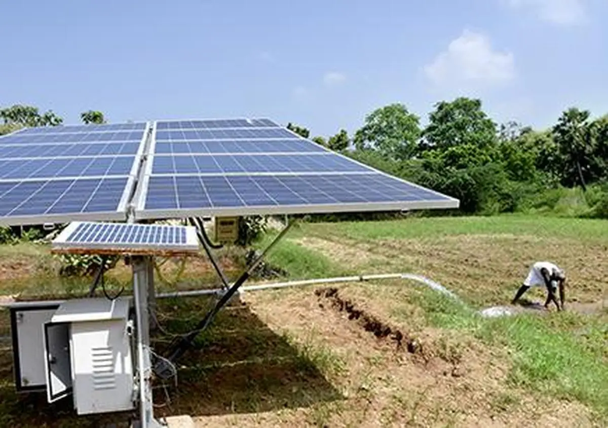 thehindubusinessline.com - From diesel to daylight: How government solar schemes are powering India's farmers