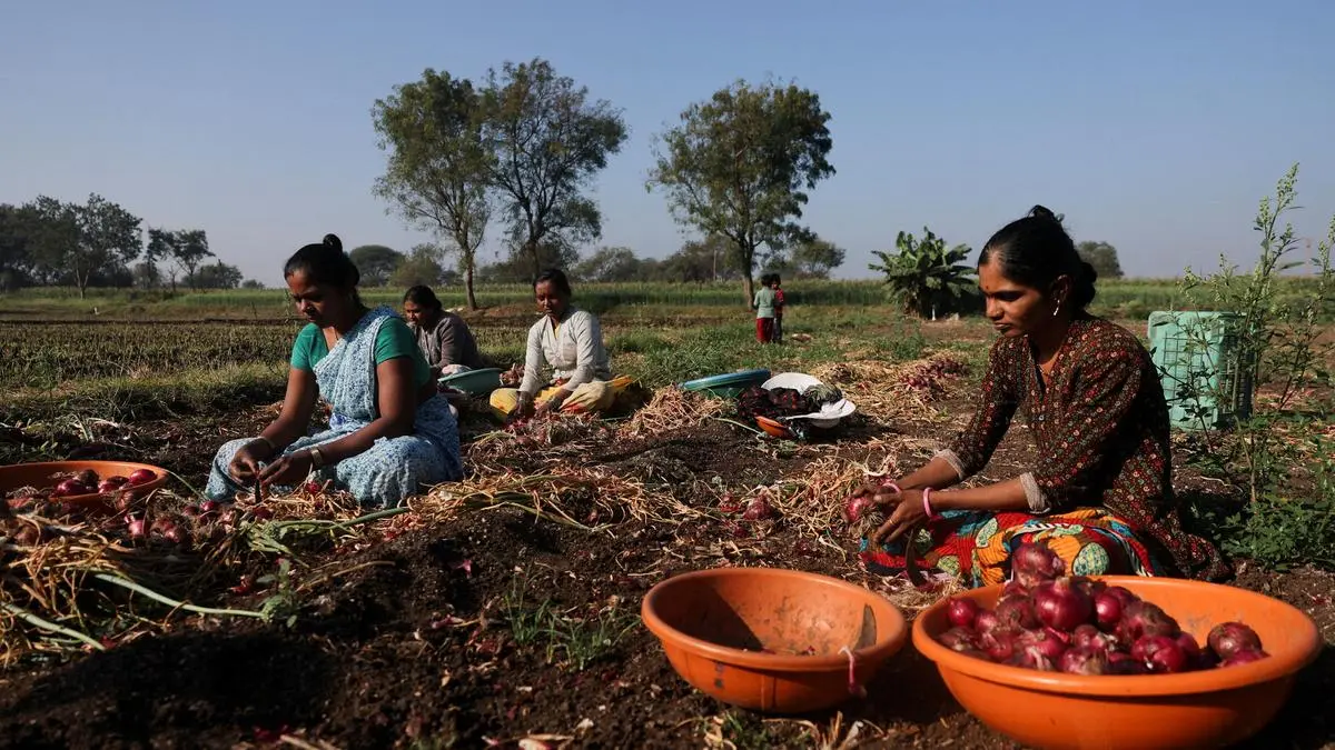 Onion farmers seek ₹10,000 crore revival package, stable export policy from Centre