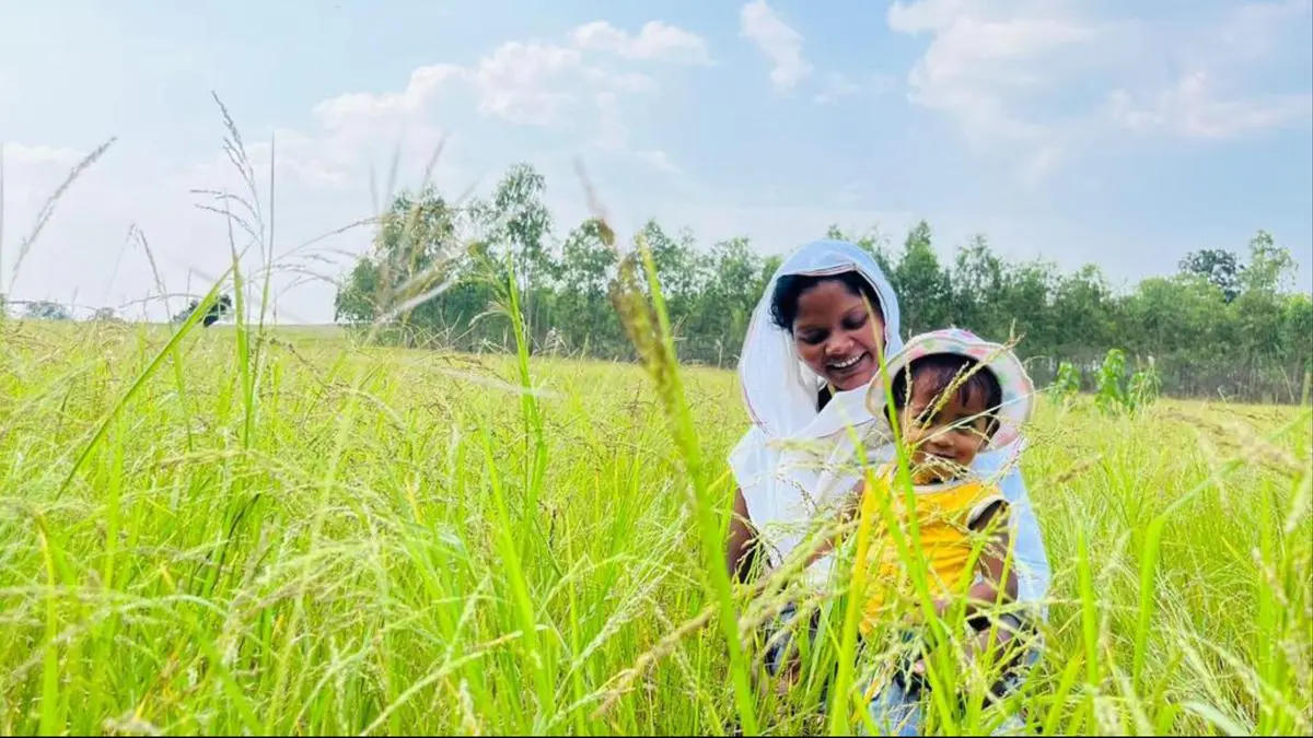 Walmart Foundation grantees collaborate with farmers to enhance sustainable production of millets