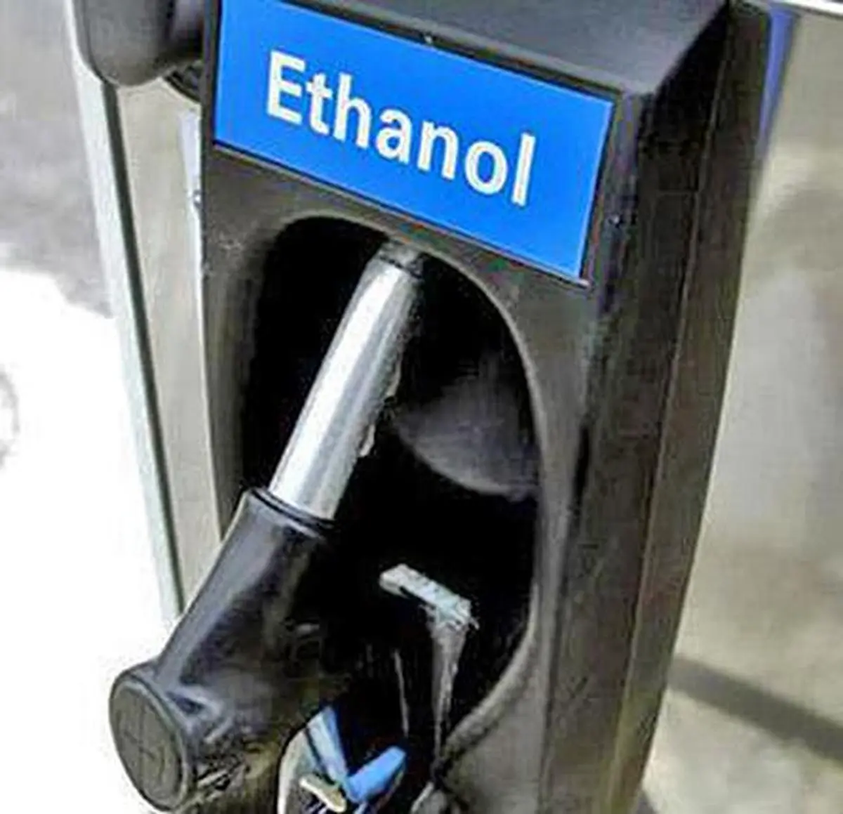 thehindubusinessline.com - India ethanol push drives big rise in land farmed to make fuel