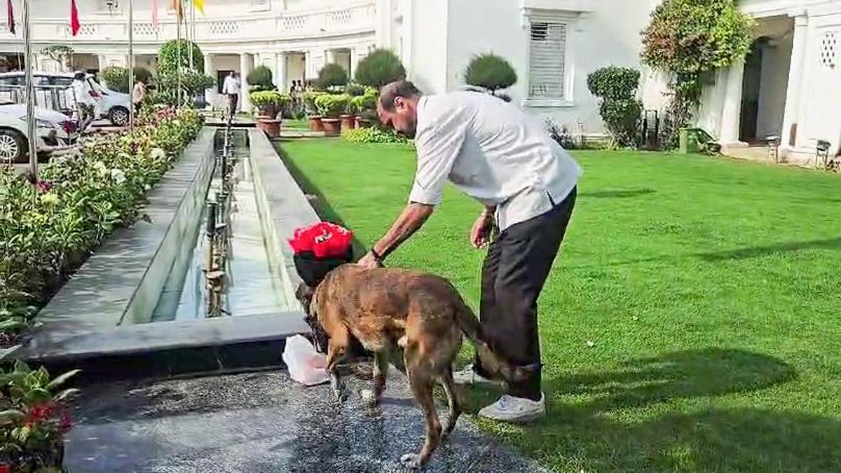 Bomb threat to Delhi Assembly triggers massive security drill