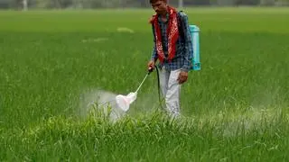 The 11 pesticides in the list are tricyclazole, buprofezin, acephate, chlorpyriphos, tebuconazole, propiconazole, thiamethoxam, profenofos, imidacloprid, carbendazim, and carbofuran