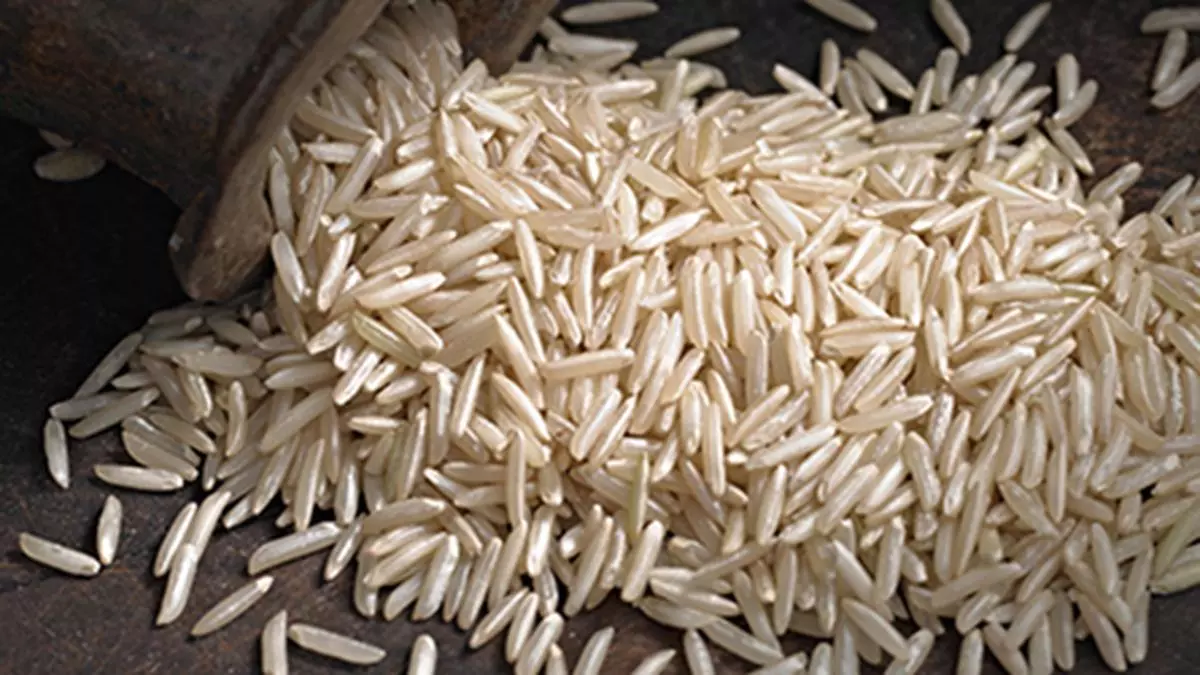 If Indo-EU GI tag deal goes through, New Delhi may get exclusive rights for basmati