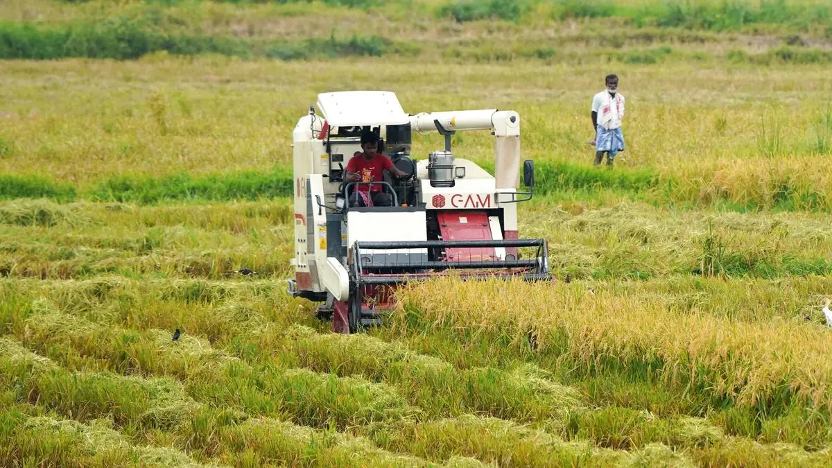 India’s area under summer crops up 3%, but paddy and moong acreage dips