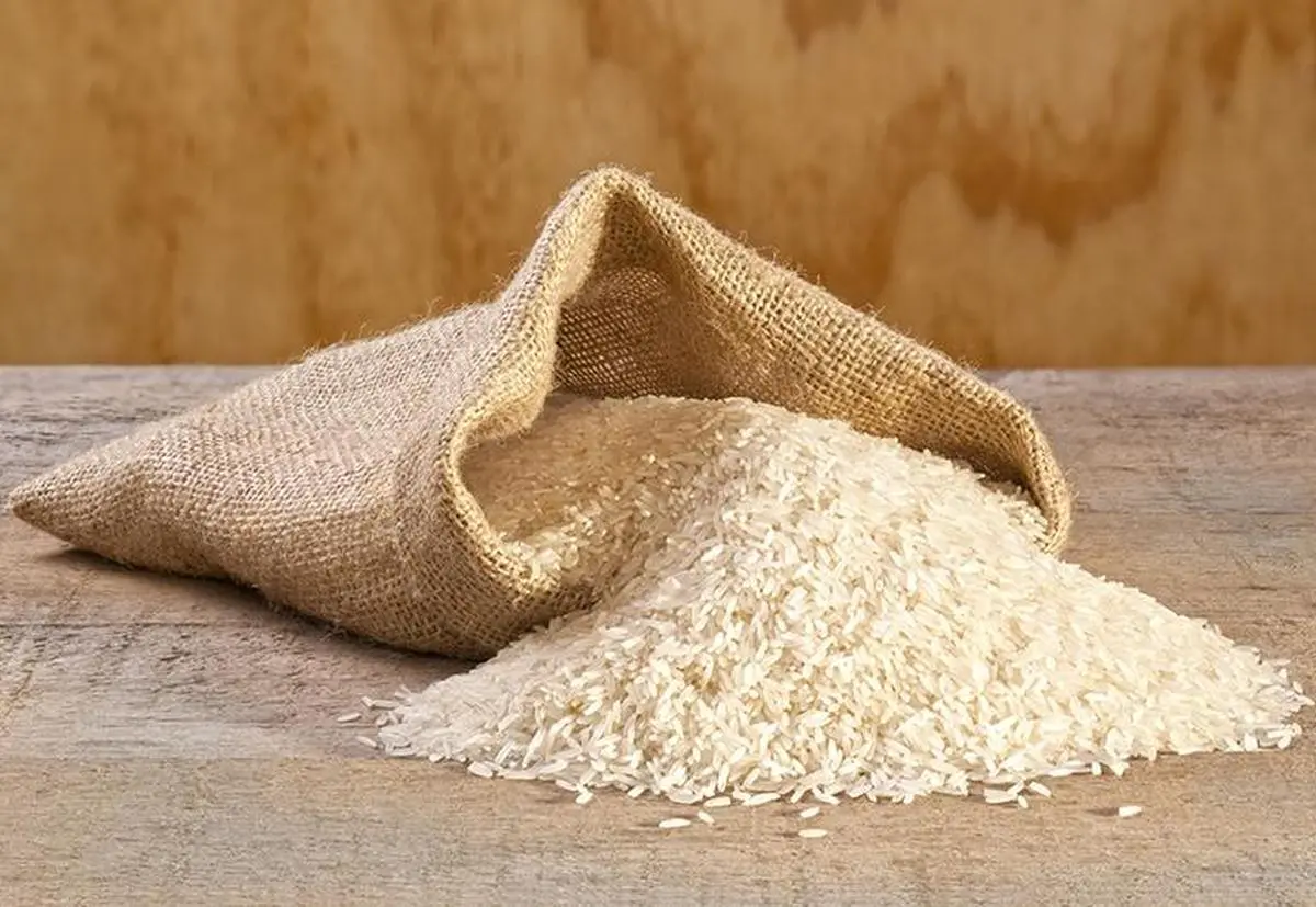 thehindubusinessline.com - Rice exporters brace for trade shifts as India tightens food security rules