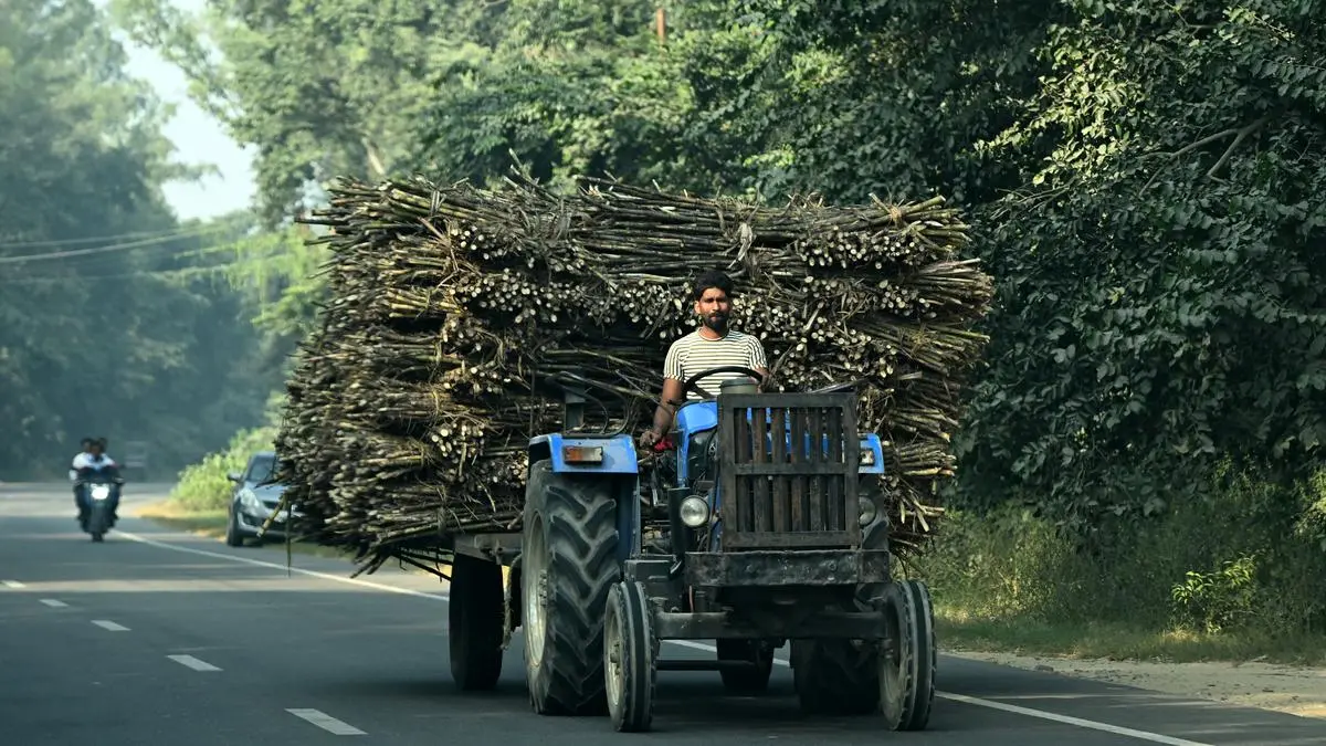 Indian govt gives sugar mills freedom to decide on ethanol production