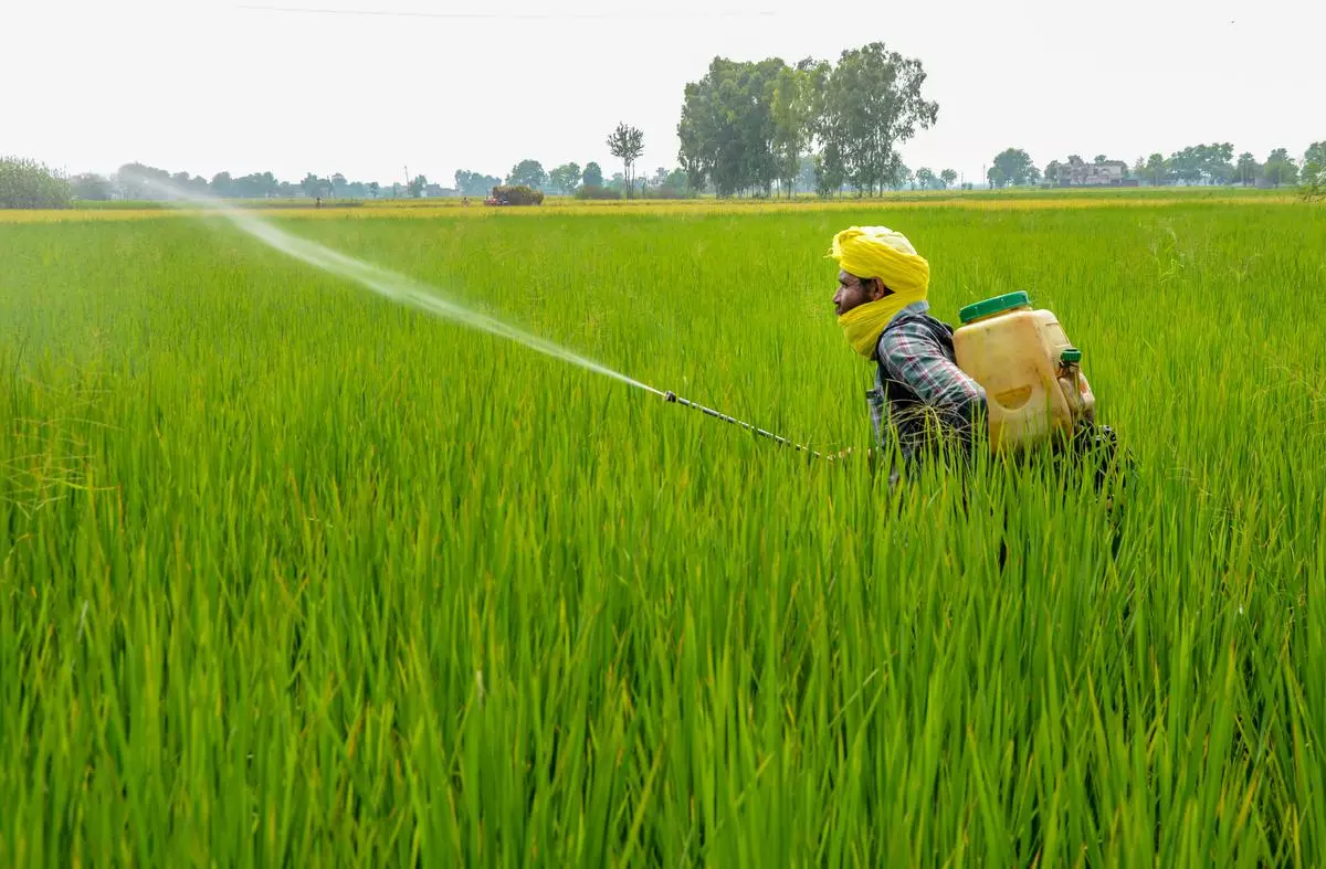 Environmentalists have criticised the increased use of pesticides 