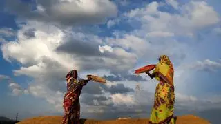 PRADAN signs MoU with Odisha to improve women livelihoods via agri cluster