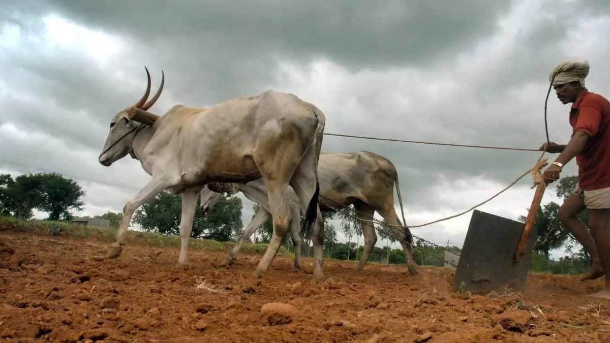 Drought preparedness must become a priority