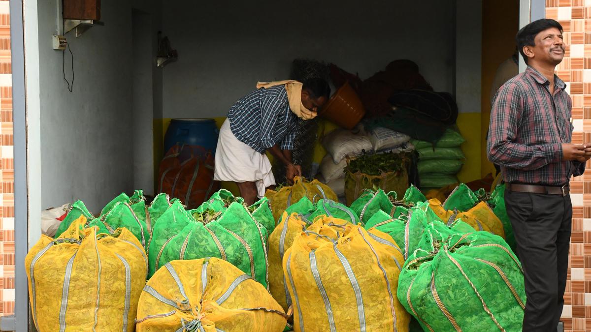 Los compradores internos y los licuadores impulsan las ventas de té en Coonoor Auctions