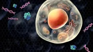 BIOMOLECULE CARGO. Light-driven graphene platform enables efficient intracellular delivery