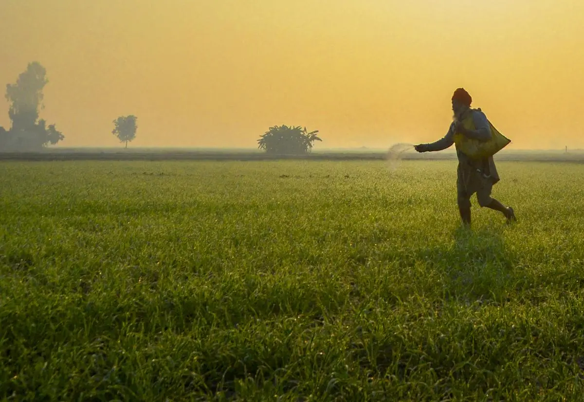 The Role of Technology in Food Security and Sustainability