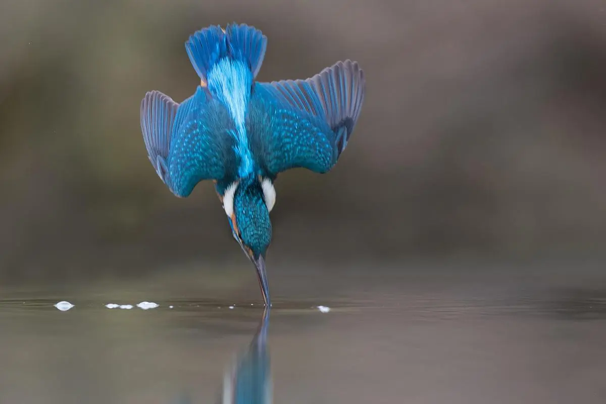 thehindubusinessline.com - Finding opportunities in an uneven market