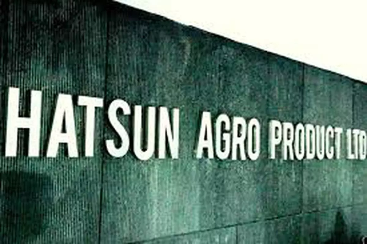 hatsun agro mulls qip - the hindu businessline