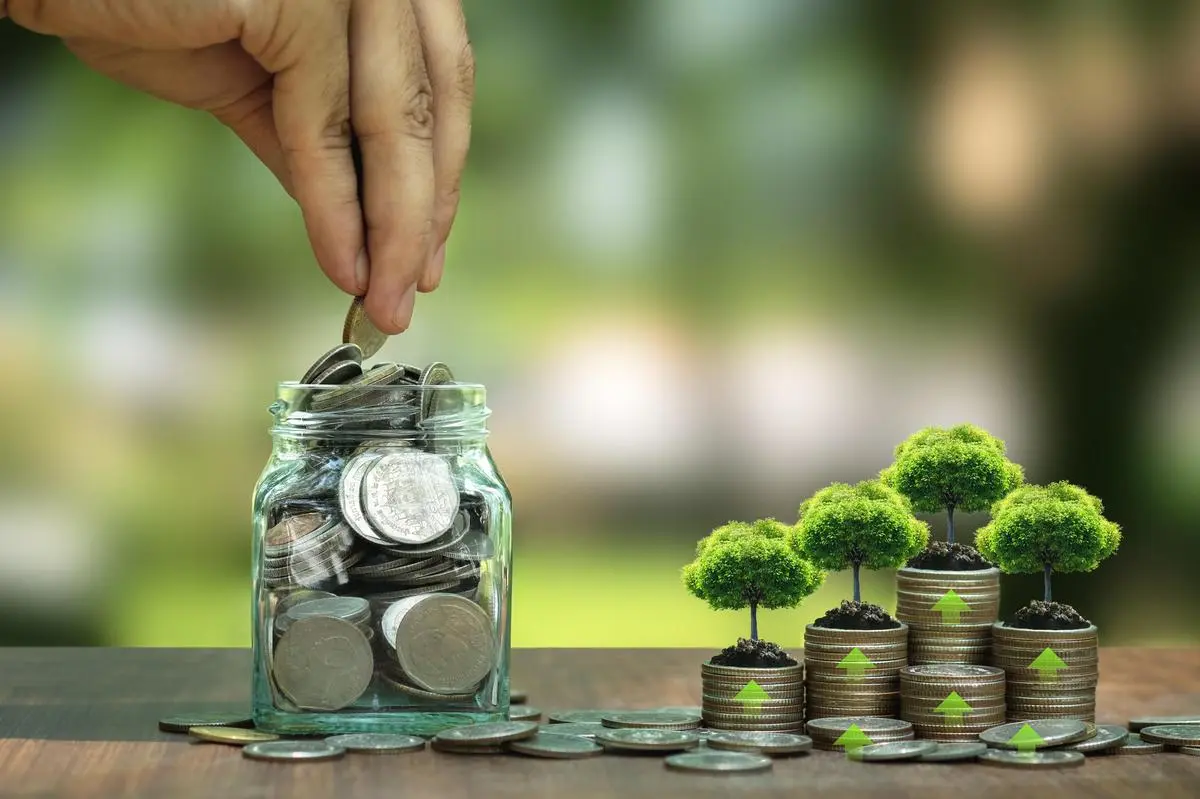 thehindubusinessline.com - India has a bouquet of climate finance options