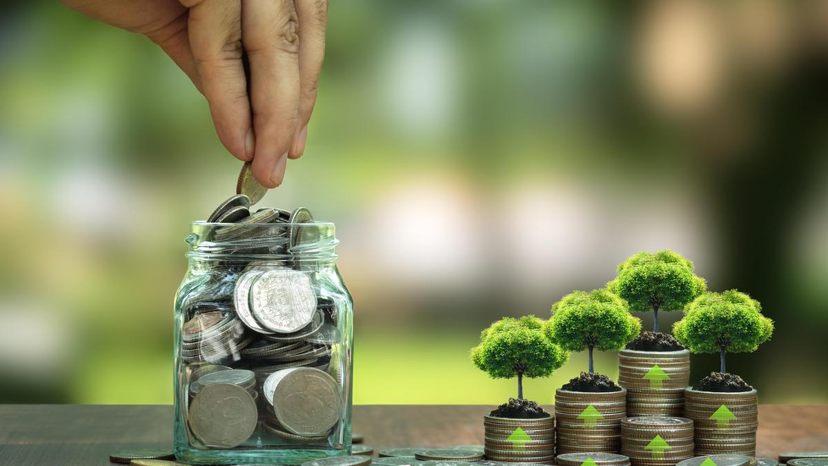 India has a bouquet of climate finance options