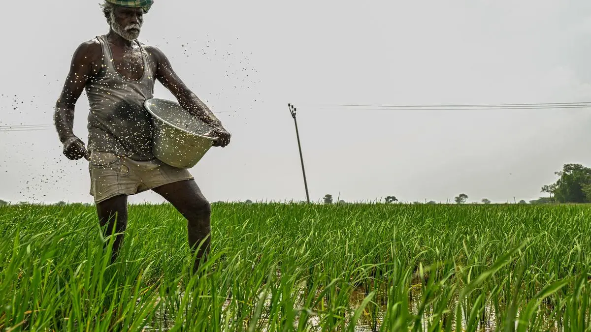 Indian government hikes minimum support prices for kharif crops; raises paddy rate by 3%