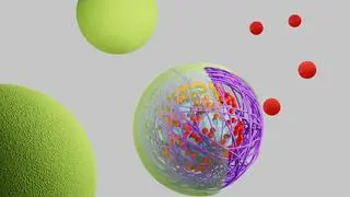 Programmed DNA nanorafts promise precise drug delivery with minimal side effects
