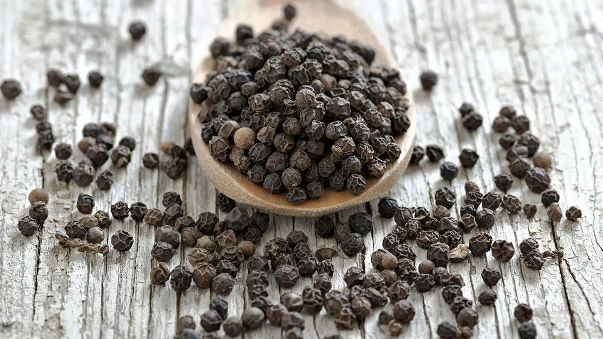 Pre-monsoon buying keeps black pepper prices steady? — GLOBAL — ERYU PROJECT