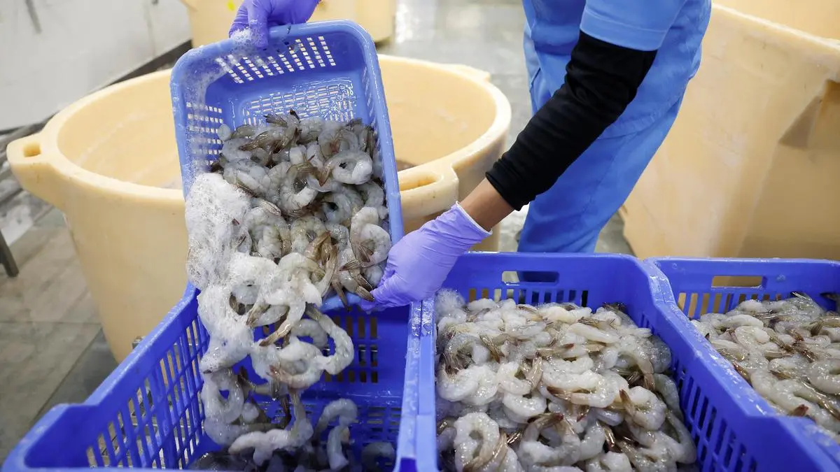 Kings Infra signs ₹2,500-cr MoU with Andhra Pradesh to build maritime aquaculture tech park in Srikakulam