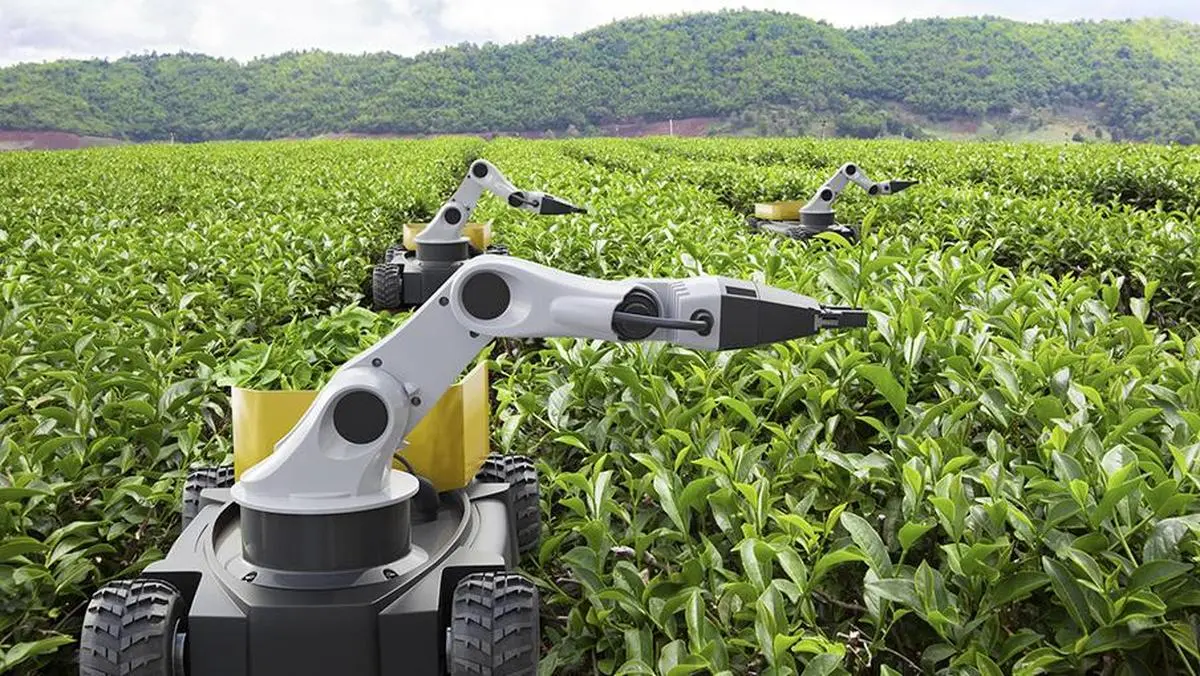 thehindubusinessline.com - The hype era is over: Agricultural robotics must now prove cost-per-acre value