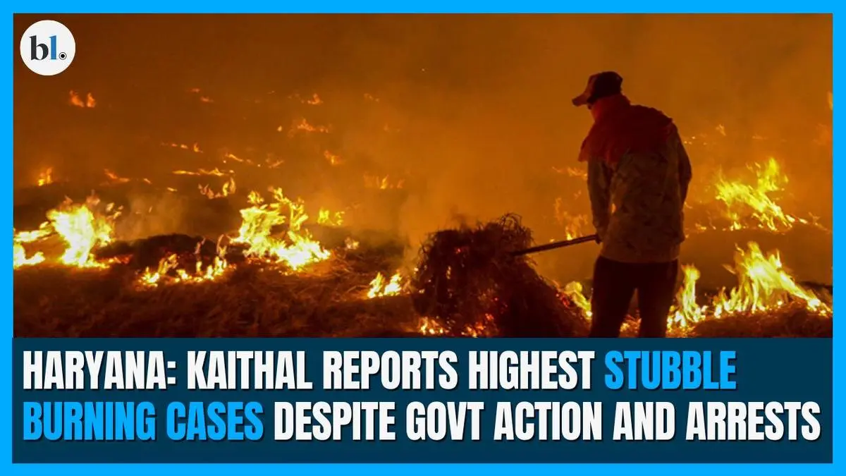 Haryana: Kaithal reports highest stubble burning cases despite govt action and arrests - The Hindu BusinessLine
