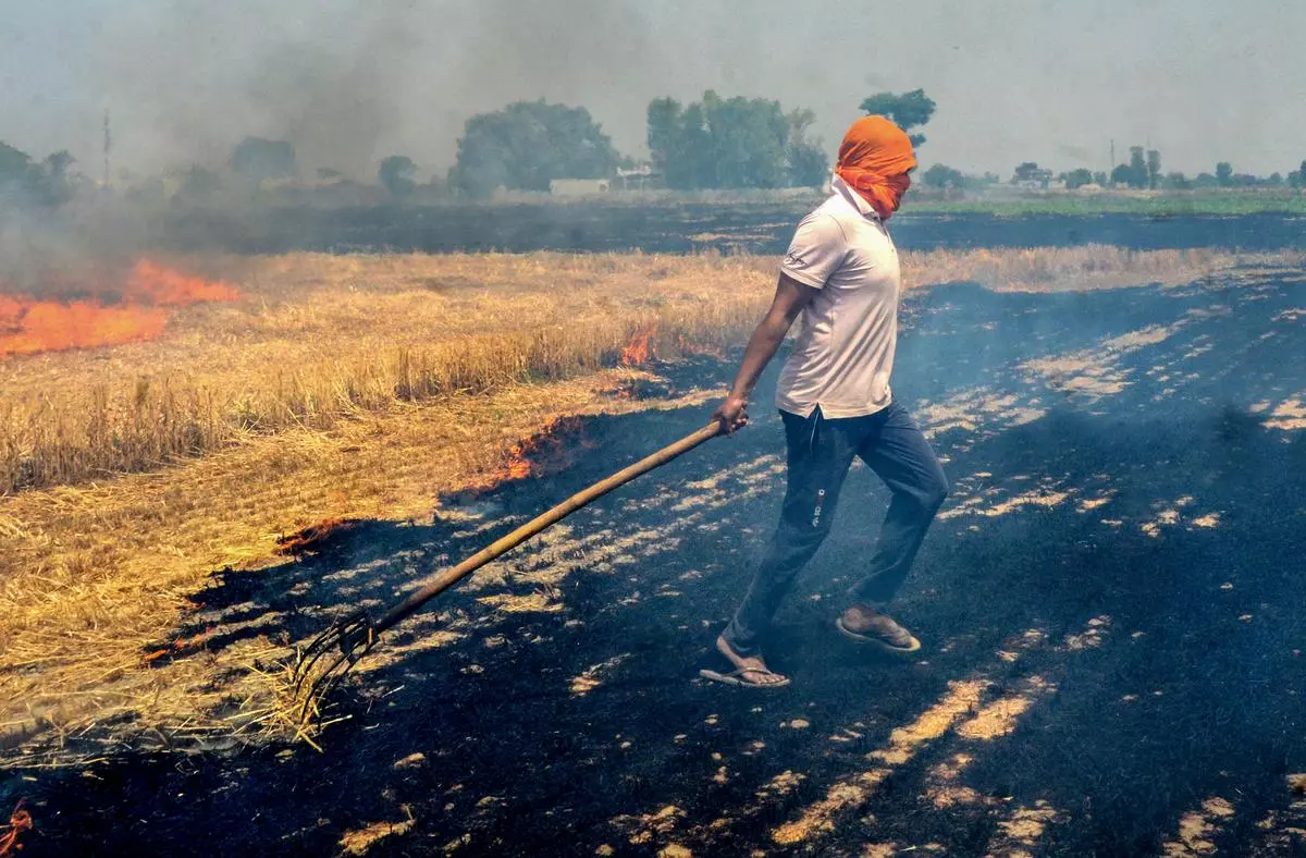 The government and farmers must get proactive about solving this burning issue