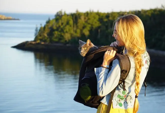 Countries such as Estonia, Indonesia, Malta and Norway have created digital nomad visas, allowing people to stay put and work for up to two years Countries such as Estonia, Indonesia, Malta and Norway have created digital nomad visas, allowing people to stay put and work for up to two years