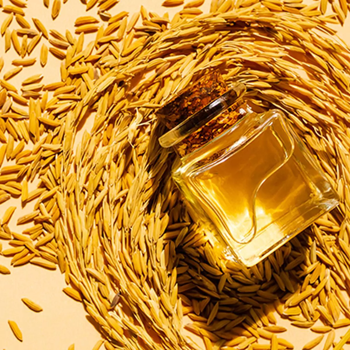 tap-rice-bran-oil-s-full-potential-to-augment-domestic-supplies-iirr