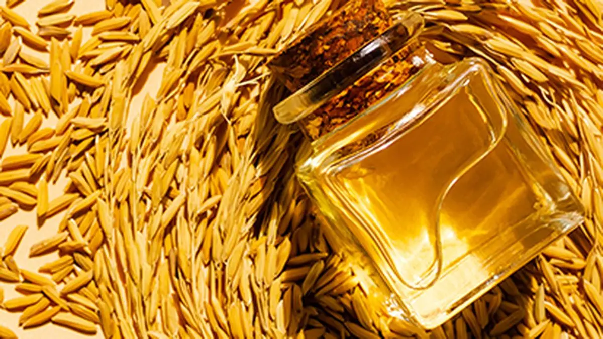 Tap rice bran oil’s full potential to augment domestic supplies IIRR