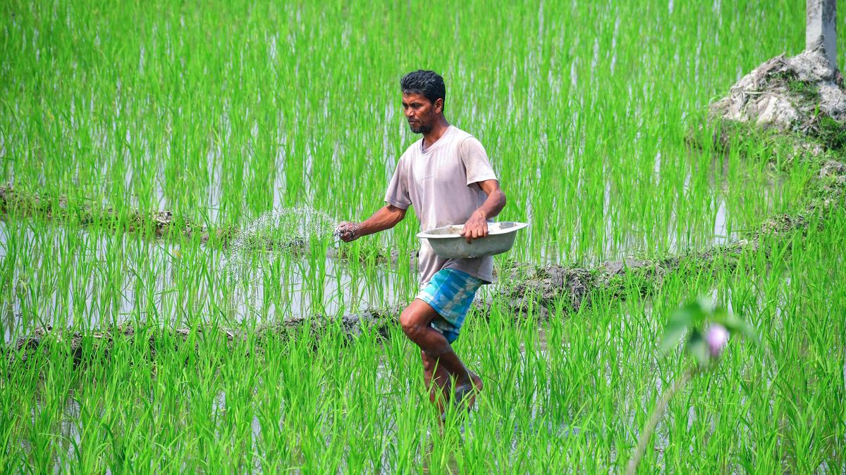 Beyond imports and subsidies: Reckoning with fertilisers, driven by domestic innovation