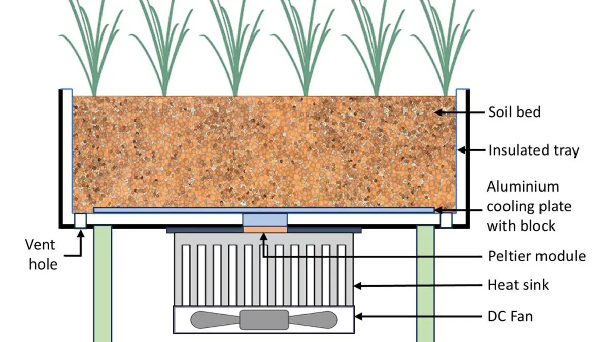 Indoor farming: Plant a thermostat, reap a bounty