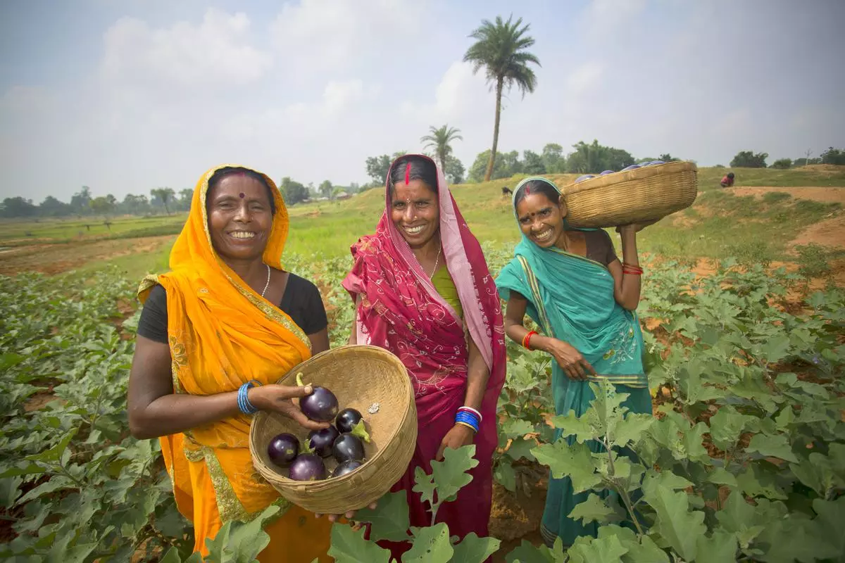 Cultivate natural farming - The Hindu BusinessLine