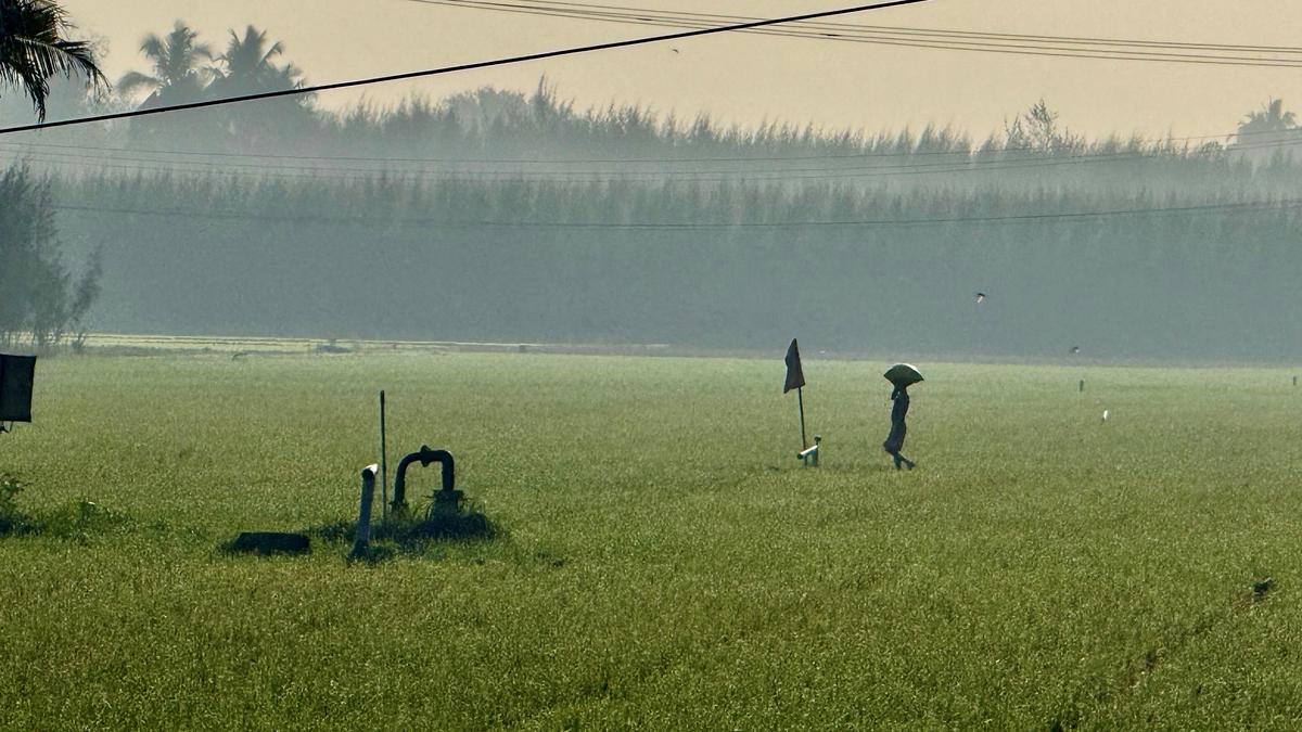 DMK earns the ire of farmers in Tamil Nadu’s Cauvery delta