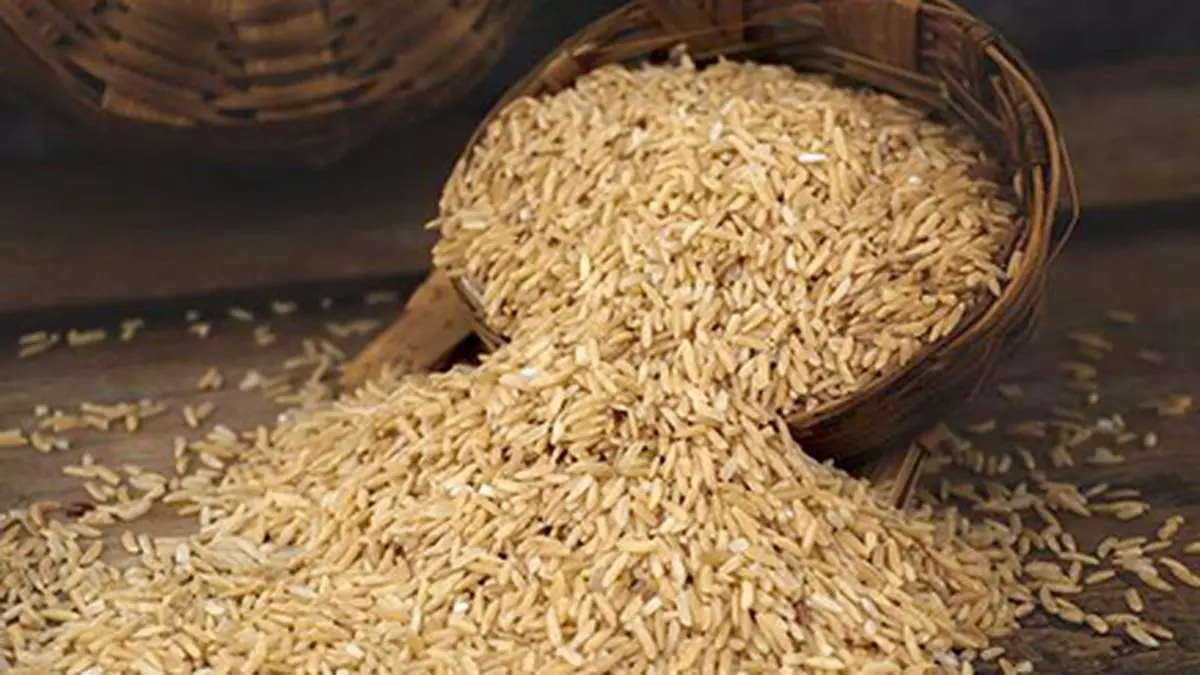 States demand additional 22 lakh tonnes of rice from Centre by March 31