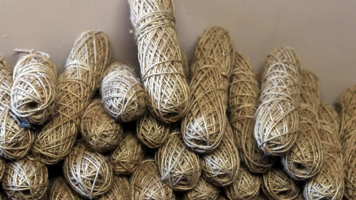 Bangladesh wants India to remove anti-dumping duties on jute products