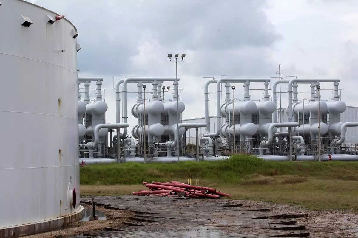 The Strategic Petroleum Reserve in Freeport, Texas (file image)