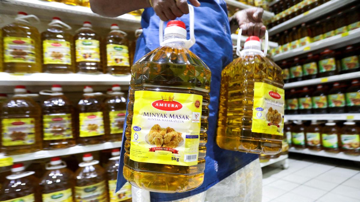 India's palm oil imports to rebound from 5-yr low on competitive prices