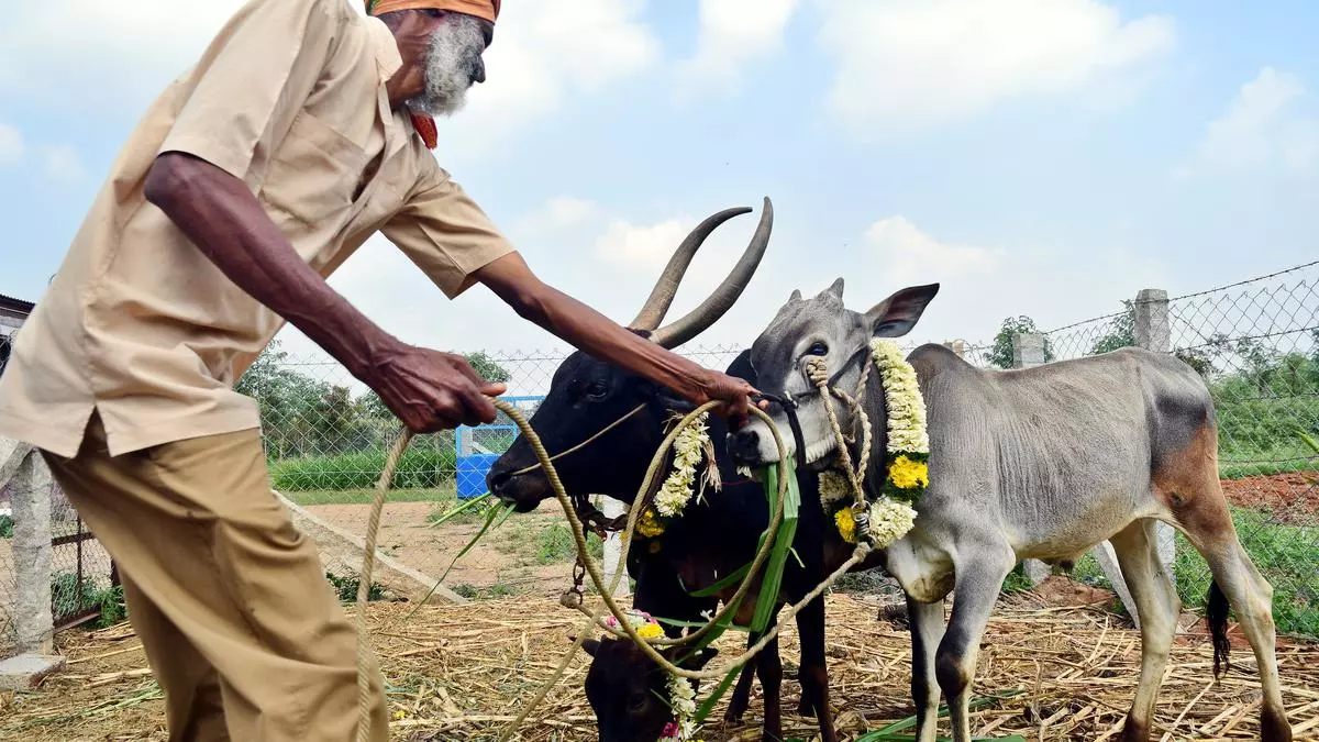 Sustainable And Organic Farming How Are They Different The Hindu Businessline 