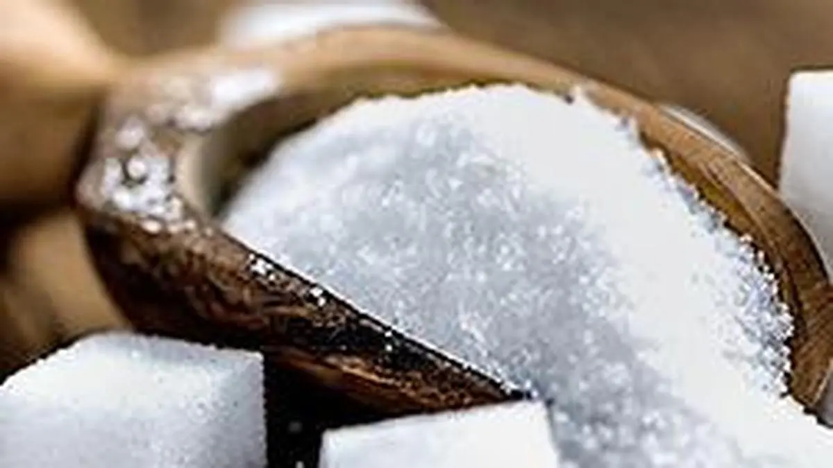 India's sugar output jumps 43% in Oct-Nov on strong Maharashtra performance