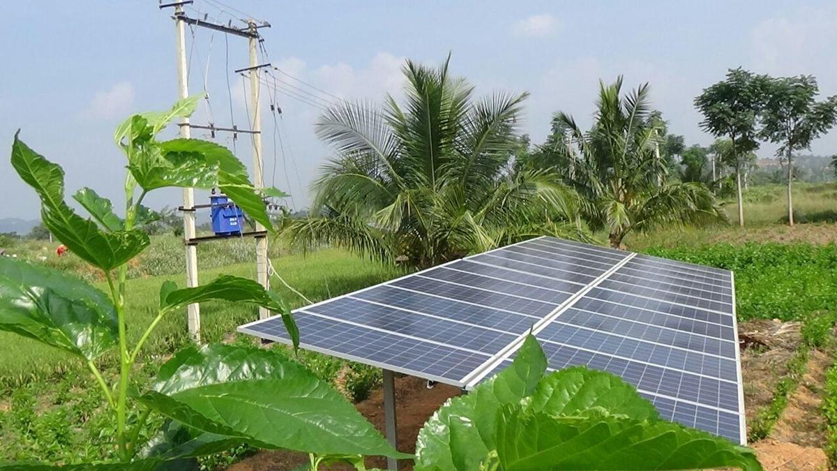 India and IFAD launch new rural development strategy for 2026-2033 ...