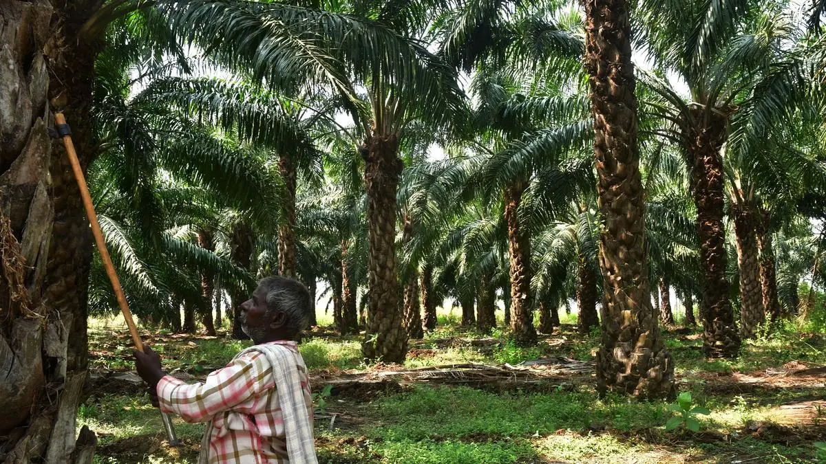 RSPO to promote sustainable oil palm ecosystem in India RSPO to promote sustainable oil palm ecosystem in India