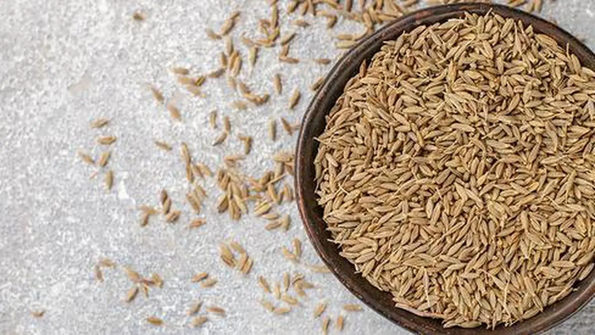 Mehsana exports ₹3,995 crore worth of cumin & other spices during FY25 post image