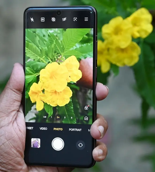 The cameras offer decent performance, particularly in daylight.