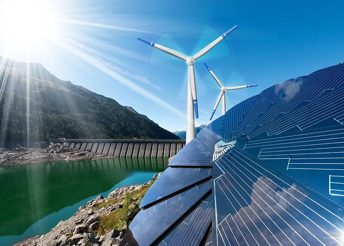 thehindubusinessline.com - India's solar capacity to quadruple, wind to triple over a decade, Power Ministry adviser says